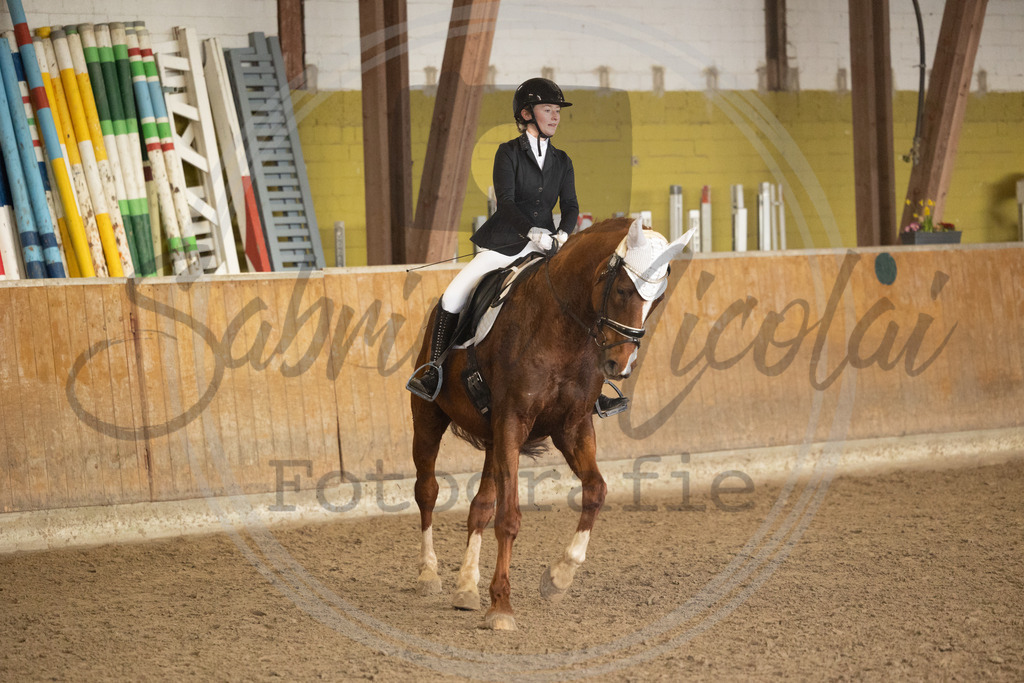 994A8675 | sabrinanicolaifotografie - Realisiert mit Pictrs.com