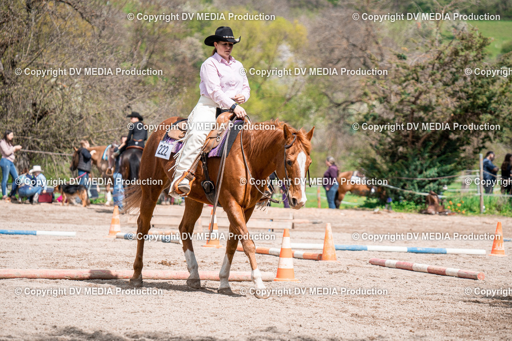 BAL02461 | dv-media-shop - Realisiert mit Pictrs.com