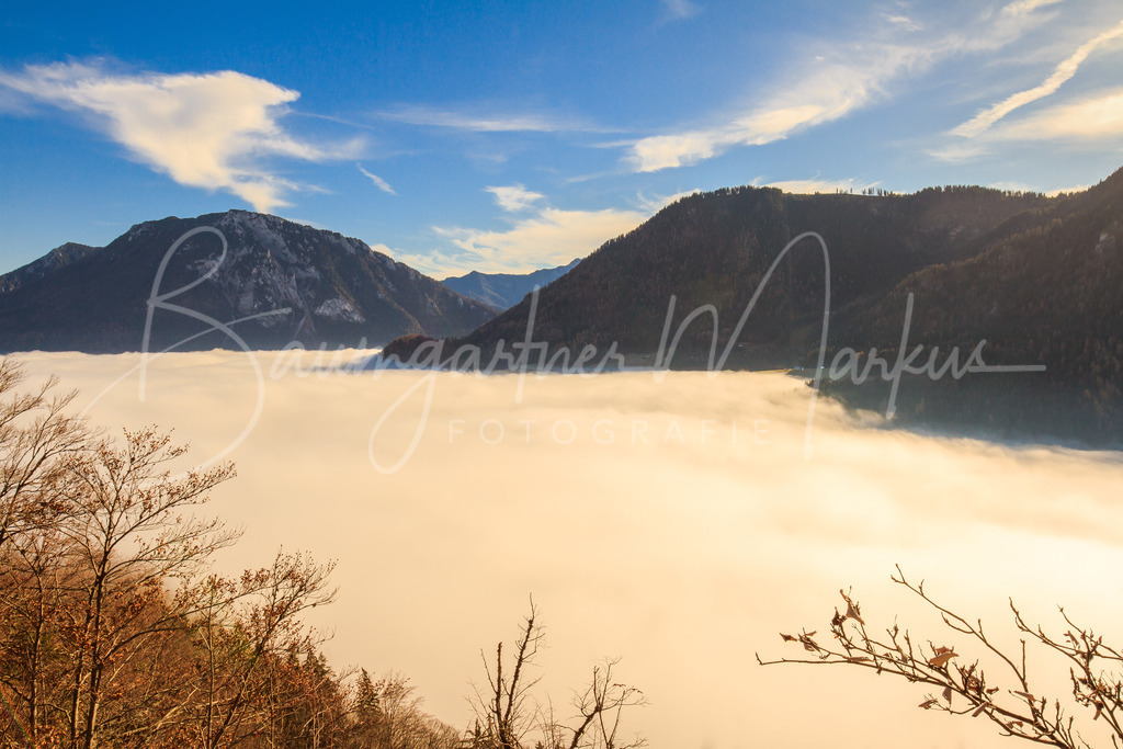 Egger Schneid_20141129_1256390016-Bearbeitet | Baumgartner Markus Fotografie