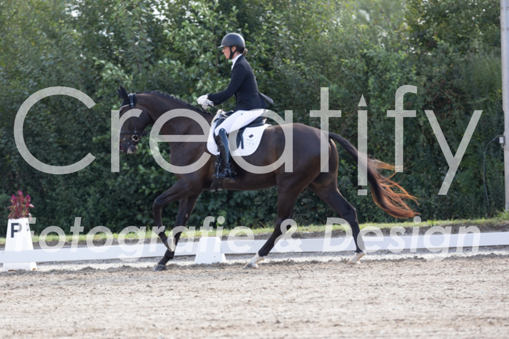 IMG_0228 | Creatify Fotografie