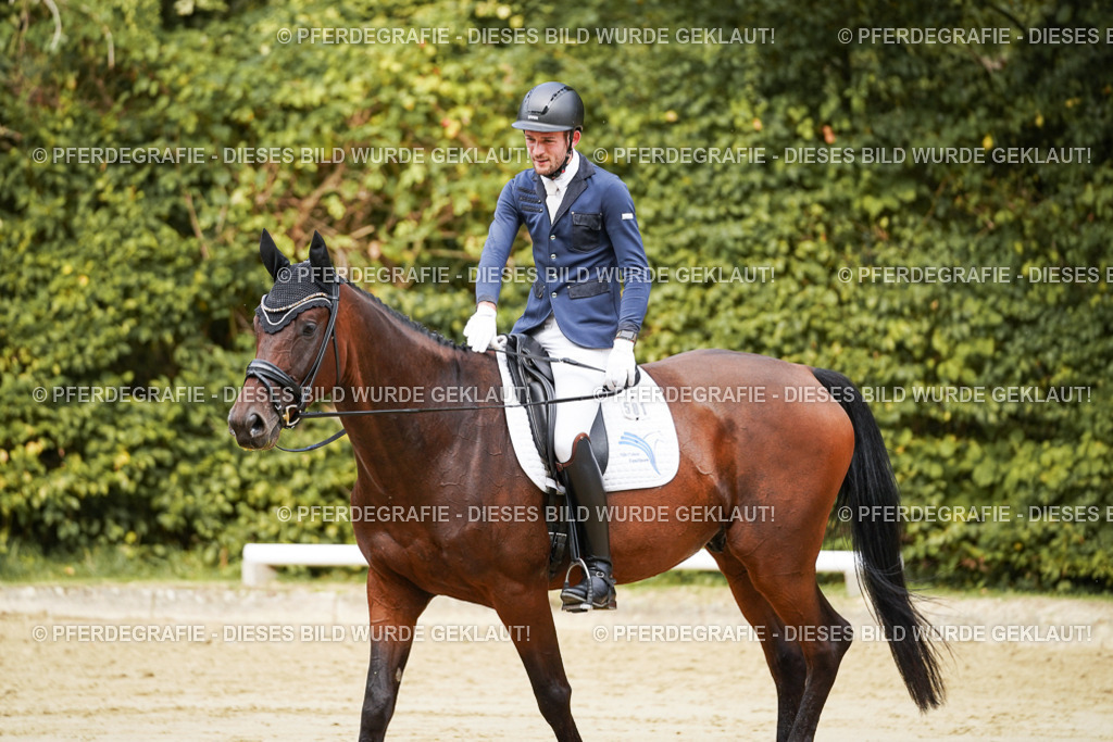 DSC09161 | Pferdegrafie