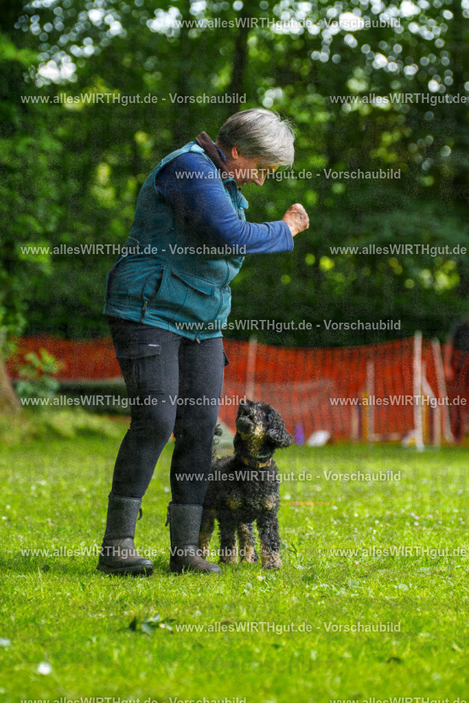 @allesWIRTHgut_Tierfotografie - www.allesWIRTHgut.de - 092728-7R507132 | Professionelle Tierfotografie in Mönchengladbach von Daniel Wirth (allesWIRTHgut). Liebevolle & natürliche Bilder von Hunden & Katzen für unvergessliche Erinnerungen.