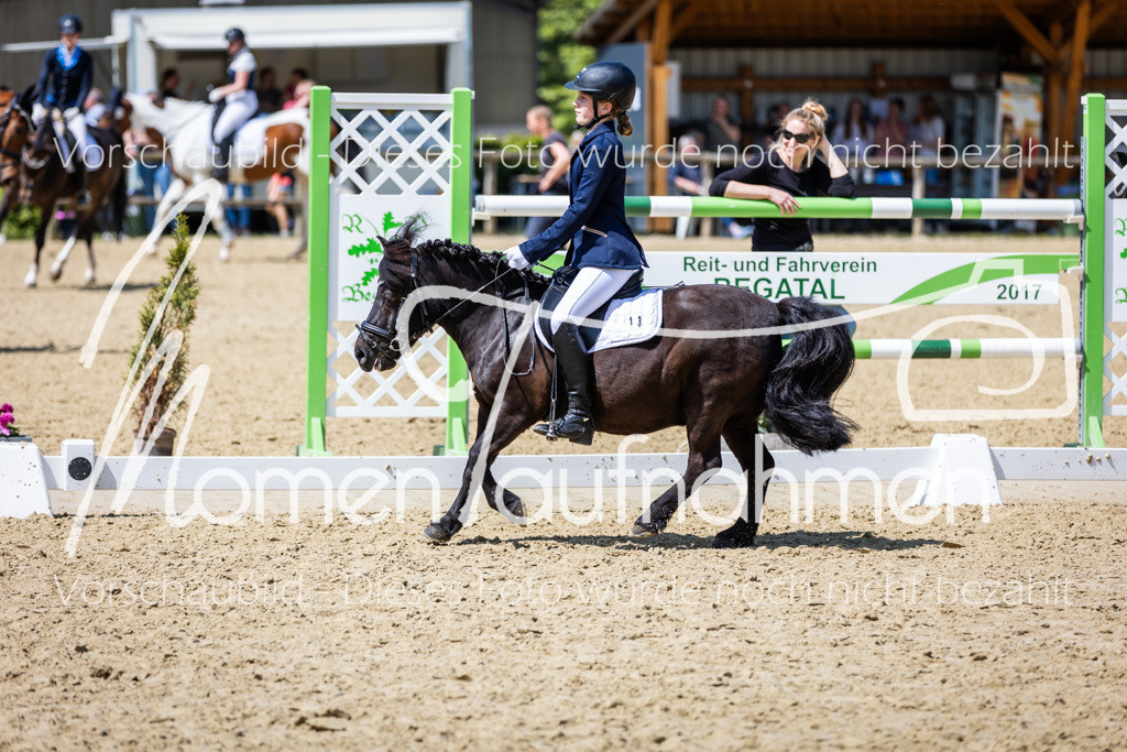 Donop24-RWB-008 | MomenTaufnahmen Pferdesportfotos