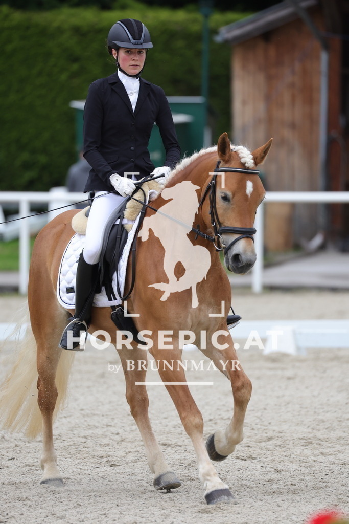 0P6A5250 | Willkommen bei Brunnmayr - Design & Fotografie – Ihrem Spezialisten für Reitturniere und Pferdeveranstaltungen in Oberösterreich, Salzburg und Bayern! Seit über 17 Jahren sind wir leidenschaftlich dabei.