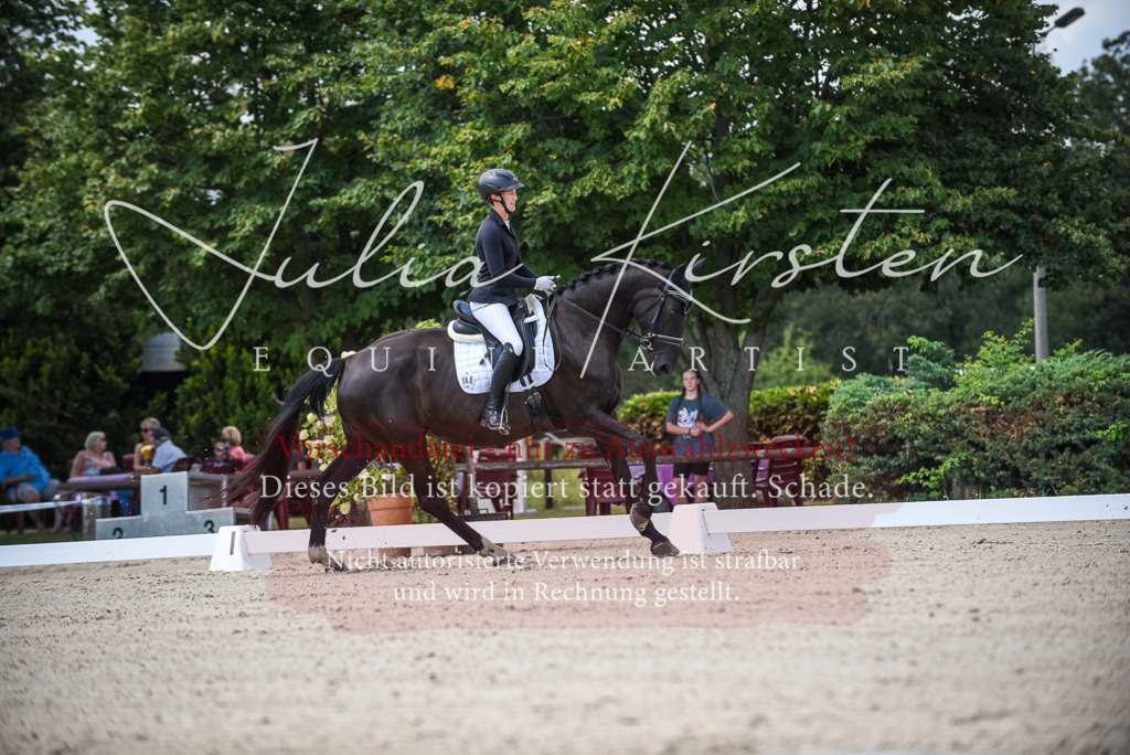 DSC_9062 | Pferde- und Turnierfotografie in Westsachsen. Pferdeportraits, Auftragszeichnungen und intuitive Kunst.