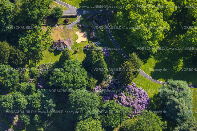 Essen220502560 | Luftbild, Park der Villa Hügel und Rhododendronblüte, Essen-Bredeney, Essen, Ruhrgebiet, Nordrhein-Westfalen, Deutschland