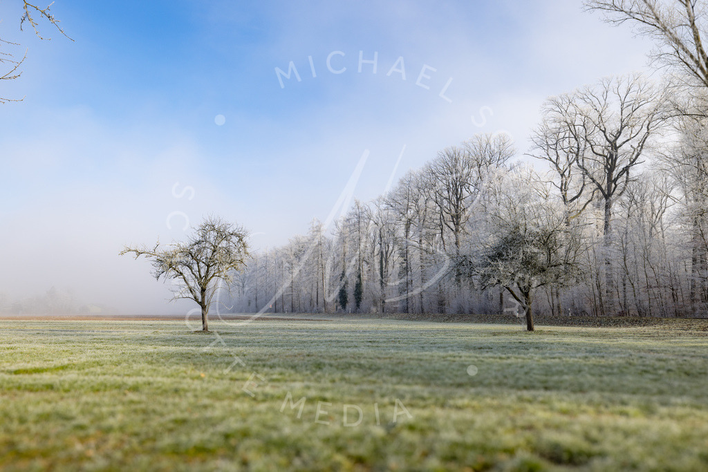 2025-01-20 Hemmingen Nebel Frost Felder 005 | Schwotte Media - Realisiert mit Pictrs.com