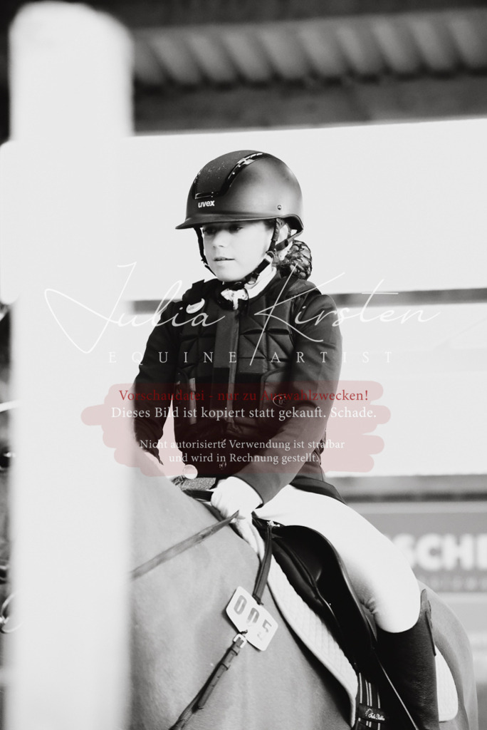 DSC_7444 | Pferde- und Turnierfotografie in Westsachsen. Pferdeportraits, Auftragszeichnungen und intuitive Kunst.
