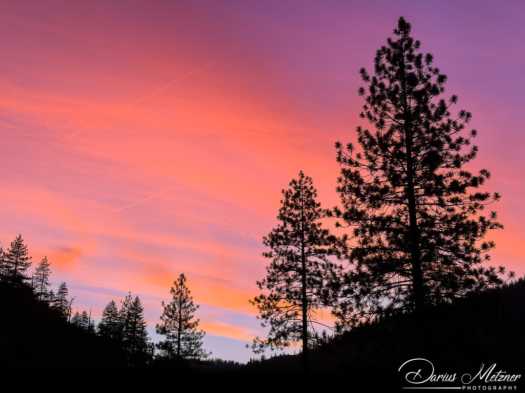 Yosemite National Park | Yosemite National Park