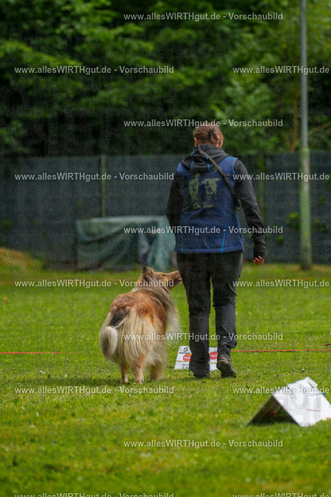 @allesWIRTHgut_Tierfotografie - www.allesWIRTHgut.de - 7R502974 | Professionelle Tierfotografie in Mönchengladbach von Daniel Wirth (allesWIRTHgut). Liebevolle & natürliche Bilder von Hunden & Katzen für unvergessliche Erinnerungen.