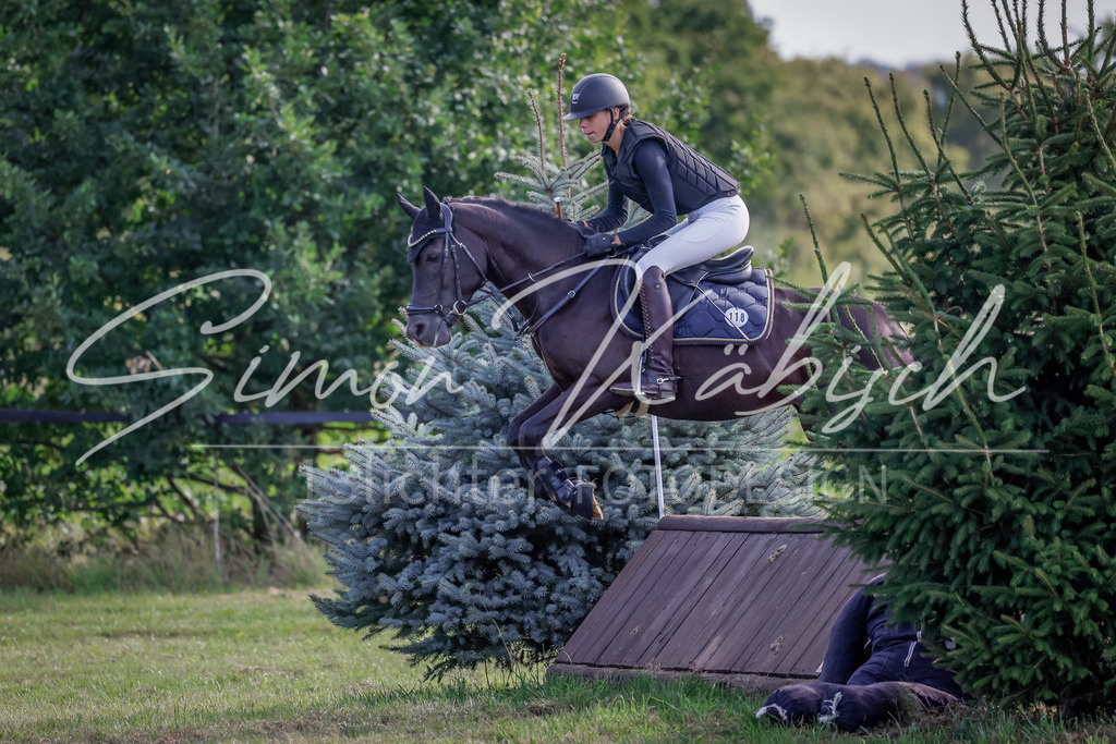 20250907-_3LI9146 | Tierfotografie Pferde, Hunde, Katzen, Haustiere.
Turnierfotografie Reitturniere, Reiten, Springreiten, Dressur in Hanau, dem Main-Kinzig-Kreis und dem Rhein-Main- Gebiet um Frankfurt