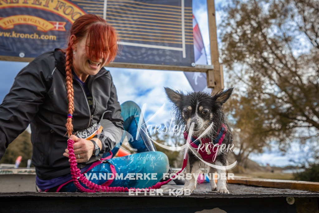 1343_ZZ92015-2 | kk-dogfotos