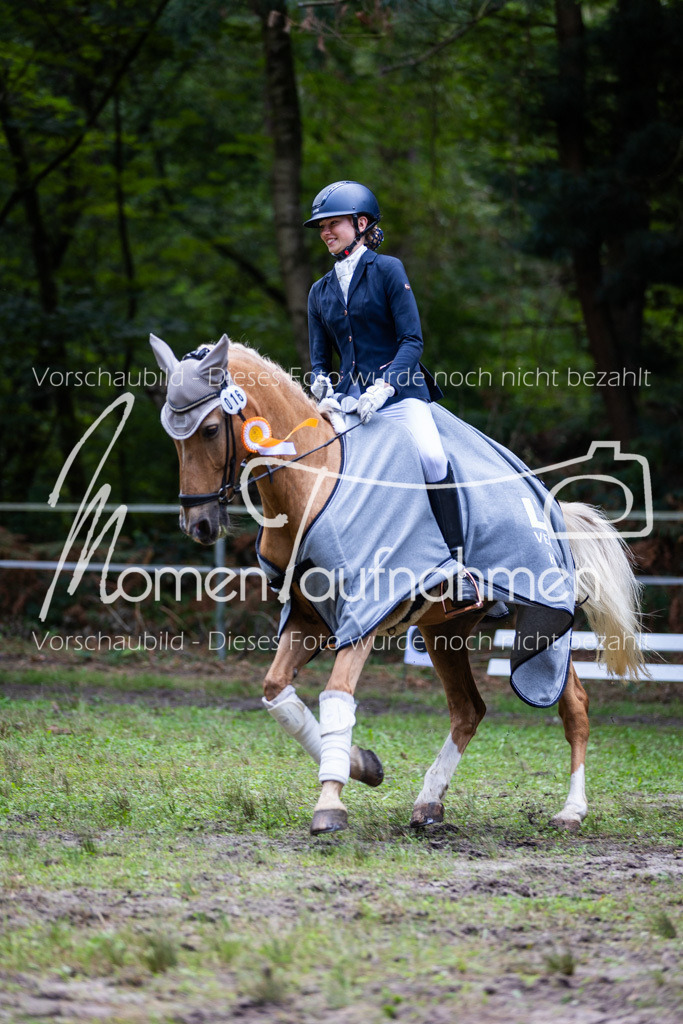 HB-A-Dressur-181 | MomenTaufnahmen Pferdesportfotos