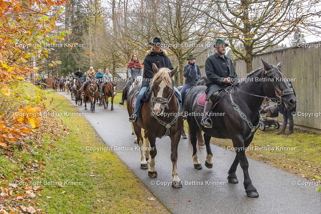 LL25-251 | foto-bettina-krinner - Realisiert mit Pictrs.com