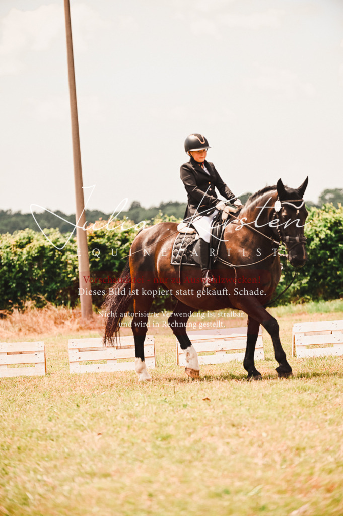 DSC_6379 | Pferde- und Turnierfotografie in Westsachsen. Pferdeportraits, Auftragszeichnungen und intuitive Kunst.