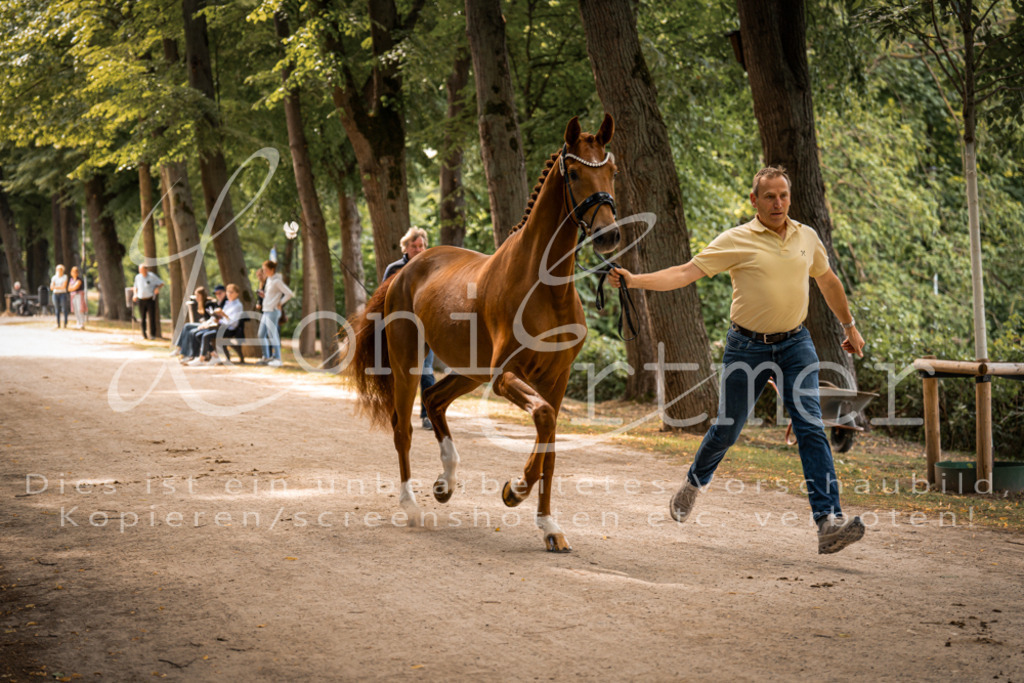 FrPfM00088 | Leoni Ertmer Photography - Realisiert mit Pictrs.com
