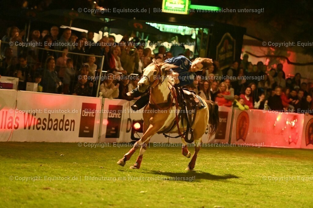 20230526_Pferdenacht_1198 | equistock