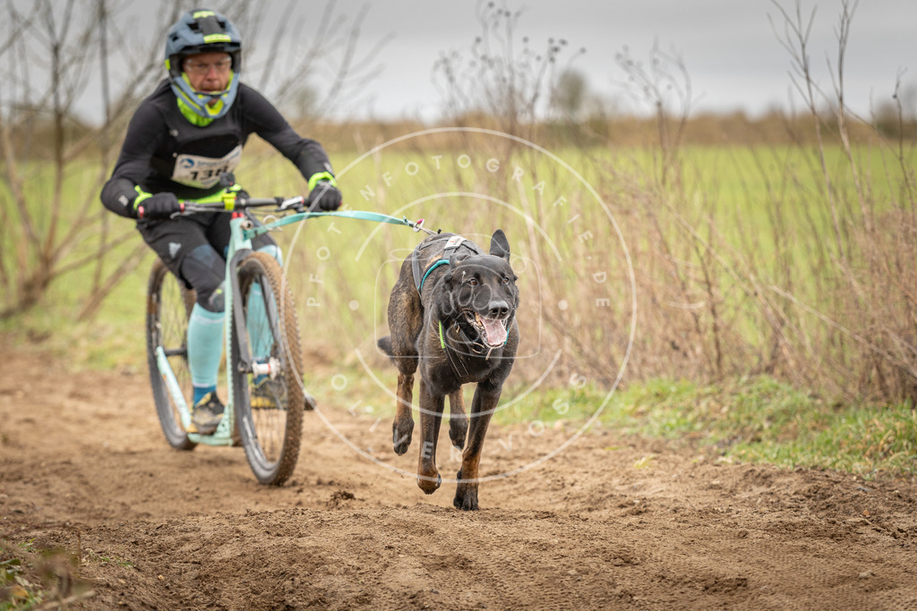 DV3A1356 | Hundefotografie, Tierfotograf, Pfotenfotografie, Fotoshooting Hund, Hunde Portrait, Hundesport, Hundeportraits, Heideshooting, Hunde, Sportfotograf, Hundefotograf, Turnierhundsport, THS,  - Realisiert mit Pictrs.com