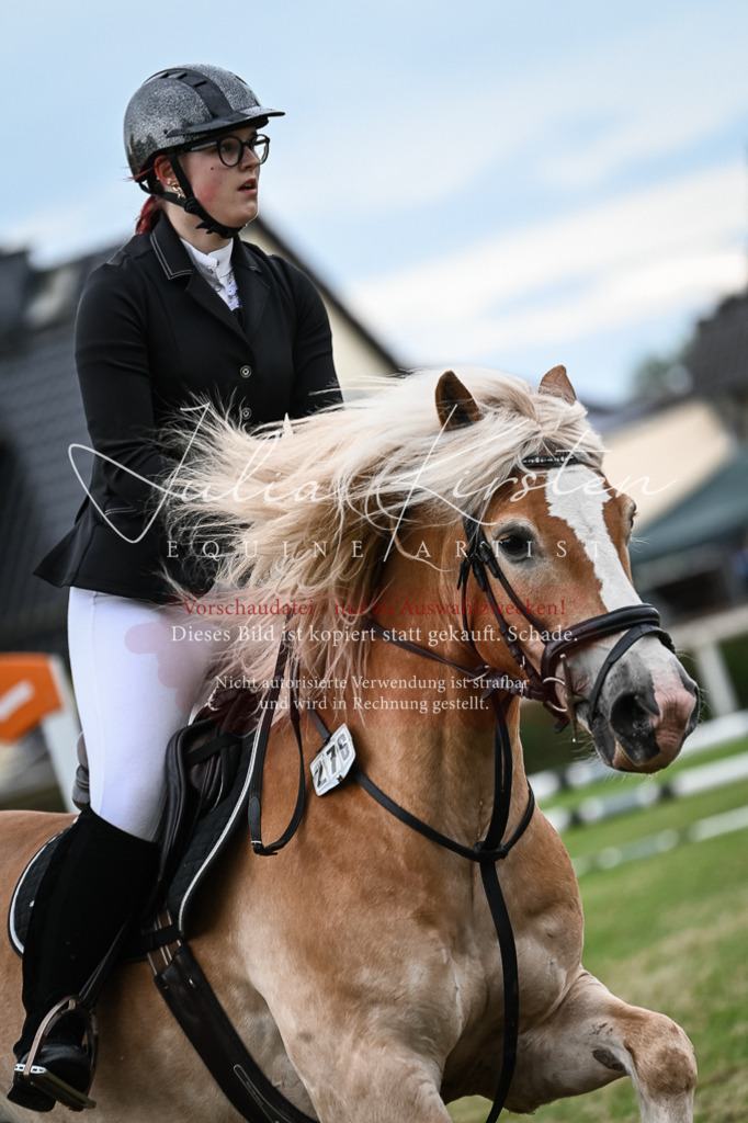 DSC_8407 | Pferde- und Turnierfotografie in Westsachsen. Pferdeportraits, Auftragszeichnungen und intuitive Kunst.