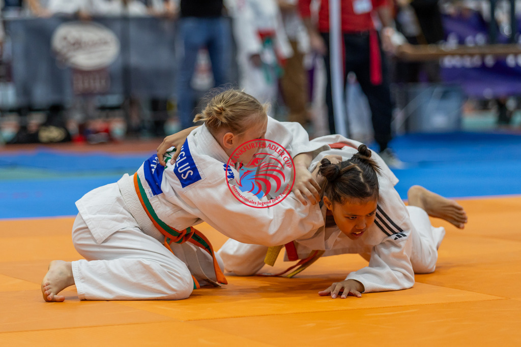 Internationaler Adler Cup 2024 | Foto vom Internationalen Adler Cup Judo Turnier im Sport- und Freizeitzentrum Kalbach im Oktober 2024 - Realisiert mit Pictrs.com