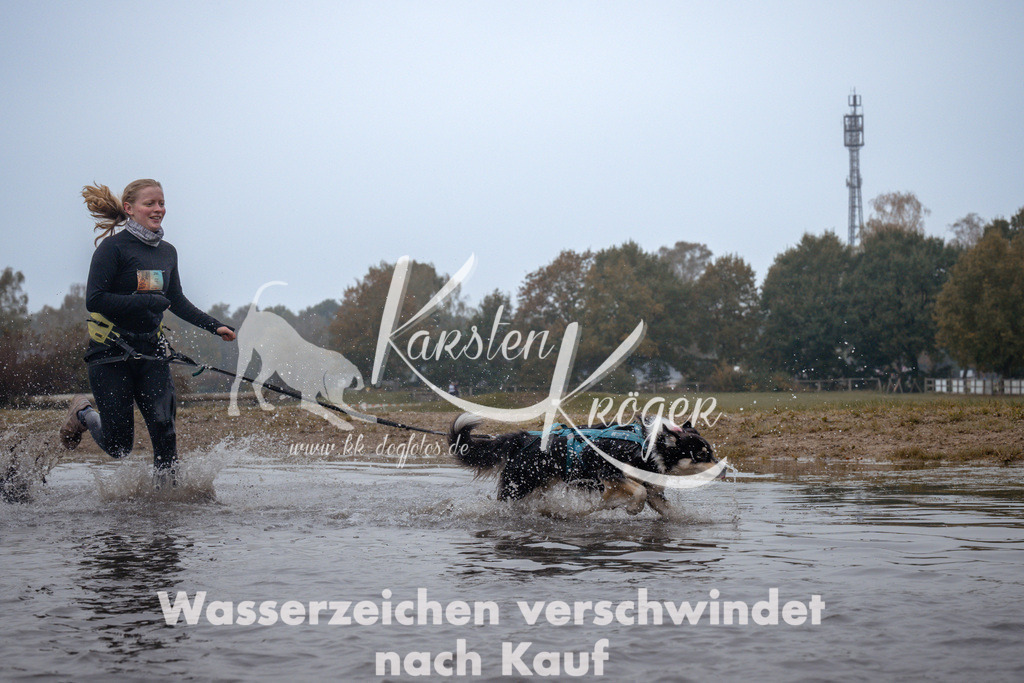 1003_ZZ97664 | kk-dogfotos