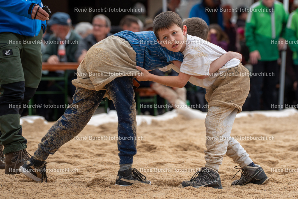 RB_04578 | René Burch leidenschaftlicher Fotograf aus Kerns in Obwalden.  Hier finden sie Sport, Landschaft und Natur Fotografie.
 - Realisiert mit Pictrs.com