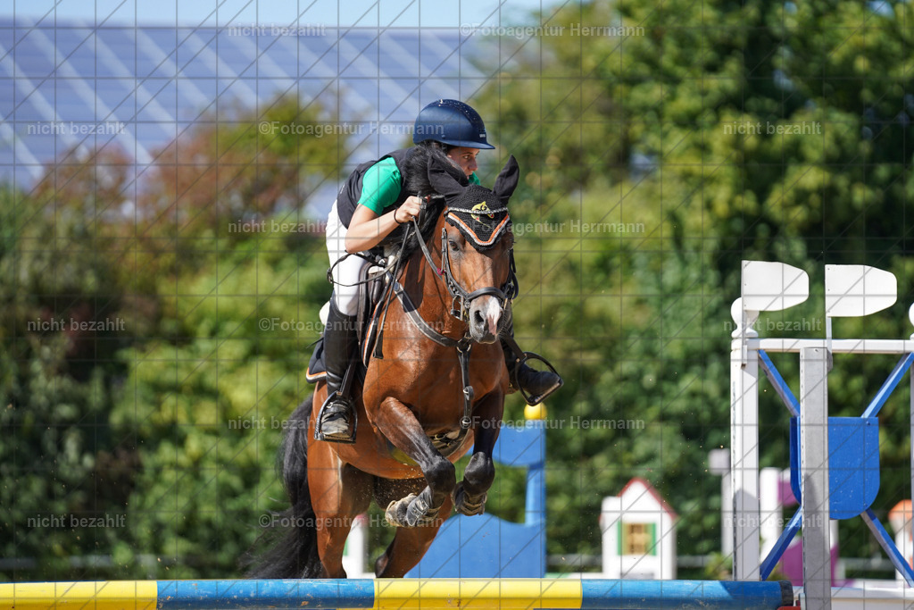 20240824-FAH08414 | Thierhaupten 2024, Bayerisches Landesponyturnier, Turnierbilder, Ponybilder, Turnierfotografen Bayern, Fotoagentur Herrmann