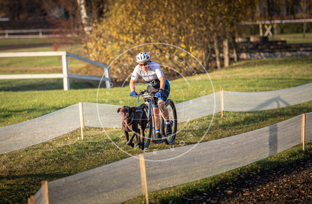 CaniXpix_DV3A0288 | Hundefotografie, Tierfotograf, Pfotenfotografie, Fotoshooting Hund, Hunde Portrait, Hundesport, Hundeportraits, Heideshooting, Hunde, Sportfotograf, Hundefotograf, Turnierhundsport, THS,  - Realisiert mit Pictrs.com