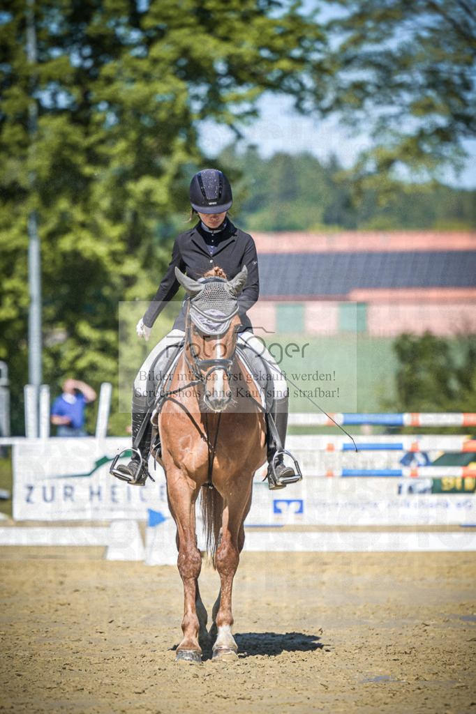 DOS_4256 | Entdecke hochwertige Reitturnierfotos von Foto Oger. Professionell, emotional und authentisch – jetzt Lieblingsmomente im Shop bestellen.Deutschlandweite Turnierfotografie. - Realisiert mit Pictrs.com