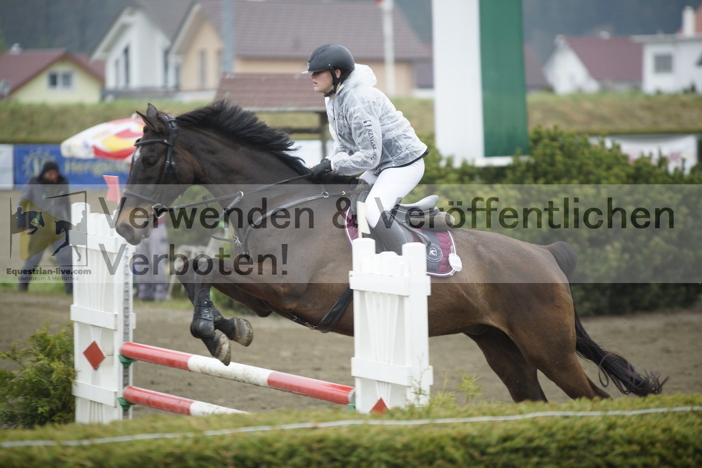 _DSC3734 | equestrian-live-com