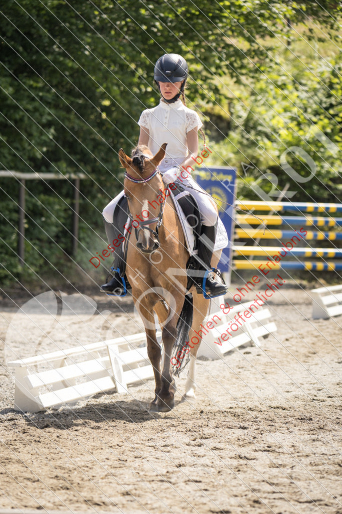 IMG_4876 | Sport-, Event- und Tierfotos in Profiqualität. Einfach auswählen, bestellen und herunterladen. Dein Moment – perfekt festgehalten.