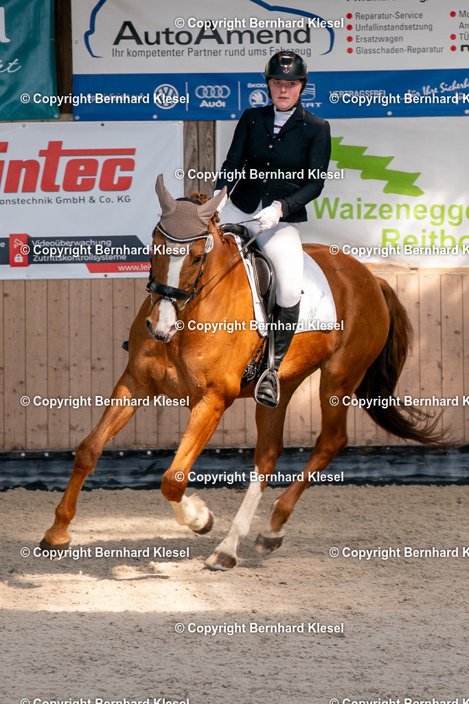 2A900236 | foto-team-bernhard - Realisiert mit Pictrs.com