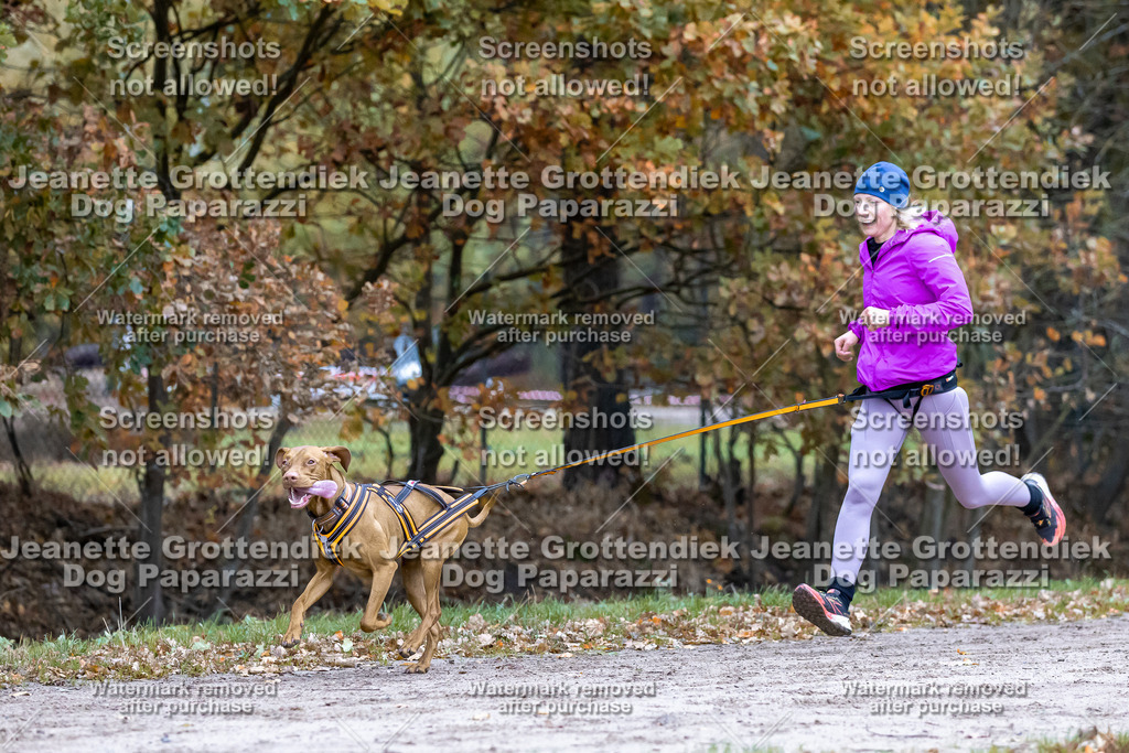 Dog Paparazzi - SD CaniX Championship 2025-101 | Dog Paparazzi Jeanette Grottendiek Fotografie & Videografie - Realisiert mit Pictrs.com