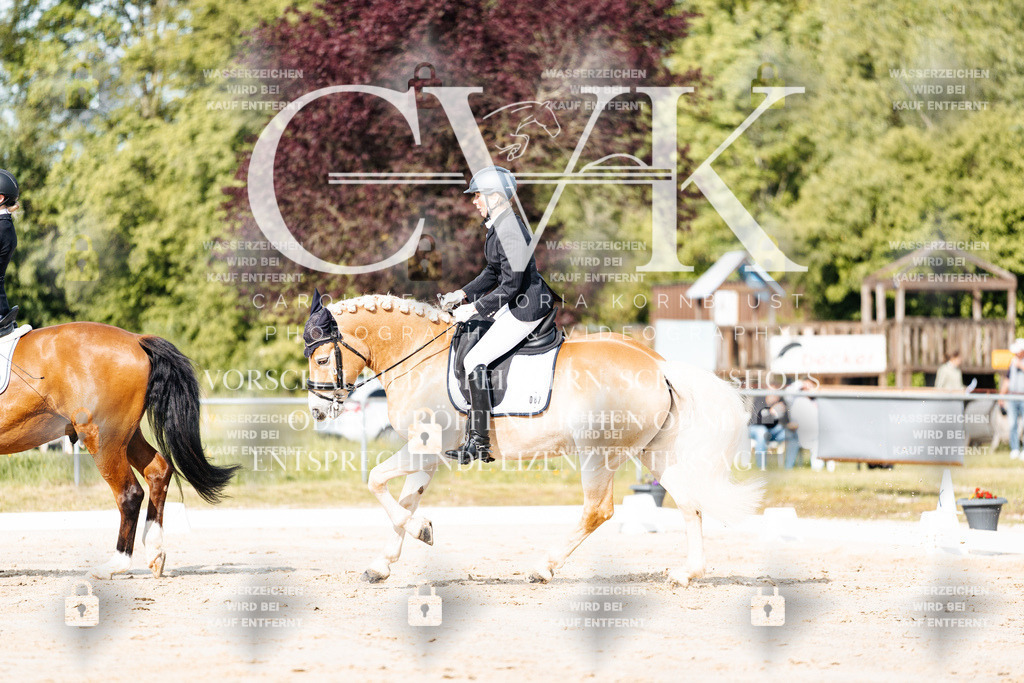 CK900153 | Turnierfotografie Pferdefotografie Trier Rheinland-Pfalz Pferdesport Reitsport Tierfotografie Sportfotografie Pferdevideo Pferdevideografie Equestrianvideography equestrianphotography  - Realisiert mit Pictrs.com
