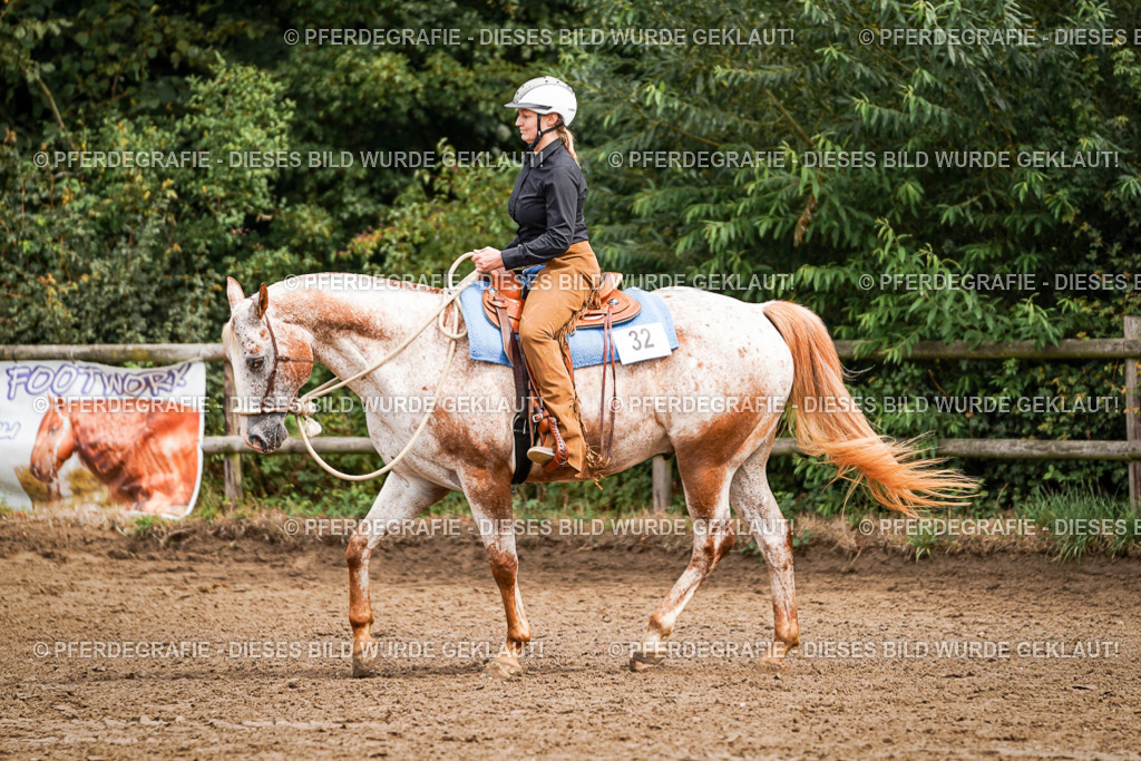 DSC04134 | Pferdegrafie