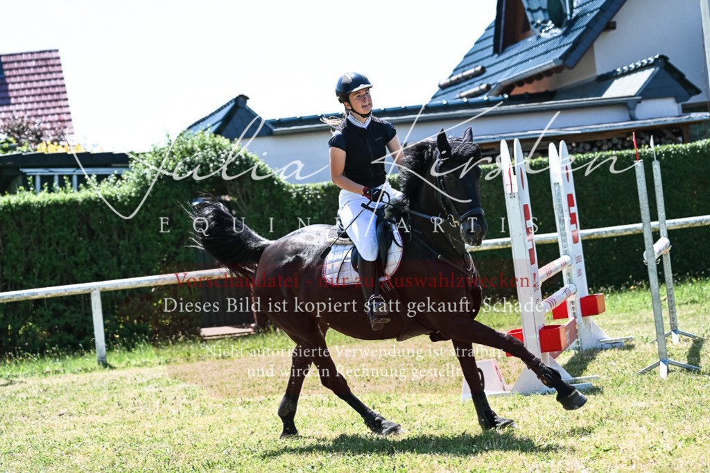DSC_0503 | Pferde- und Turnierfotografie in Westsachsen. Pferdeportraits, Auftragszeichnungen und intuitive Kunst.