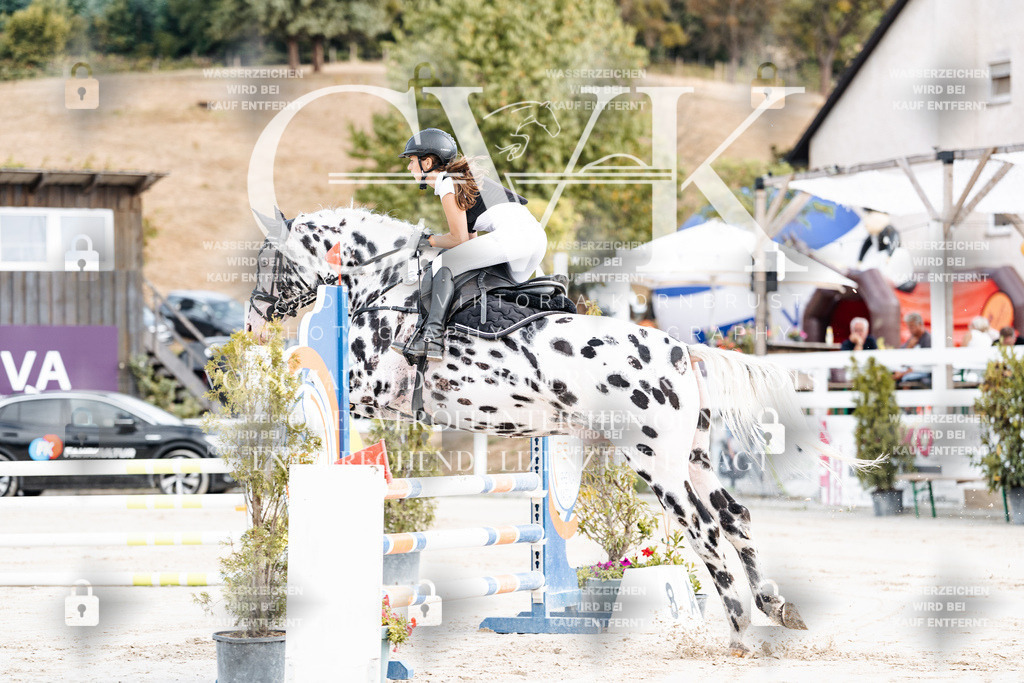 CK908934 | Turnierfotografie Pferdefotografie Trier Rheinland-Pfalz Pferdesport Reitsport Tierfotografie Sportfotografie Pferdevideo Pferdevideografie Equestrianvideography equestrianphotography  - Realisiert mit Pictrs.com