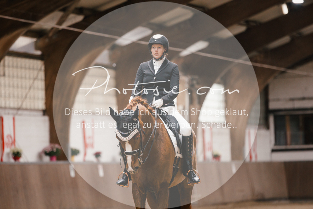 3I6A8956 | Stimmungsvolle Portraits und Reitsportfotografie im Ruhrgebiet und im Münsterland.

Pferdefotografie, Hundefotografie, Tierfotografie, Reportagen, Portraits von Tier und Mensch, Turnierfotografie in Bochum, Recklinghausen, Marl, Haltern am See, Dülmen.. - Realisiert mit Pictrs.com