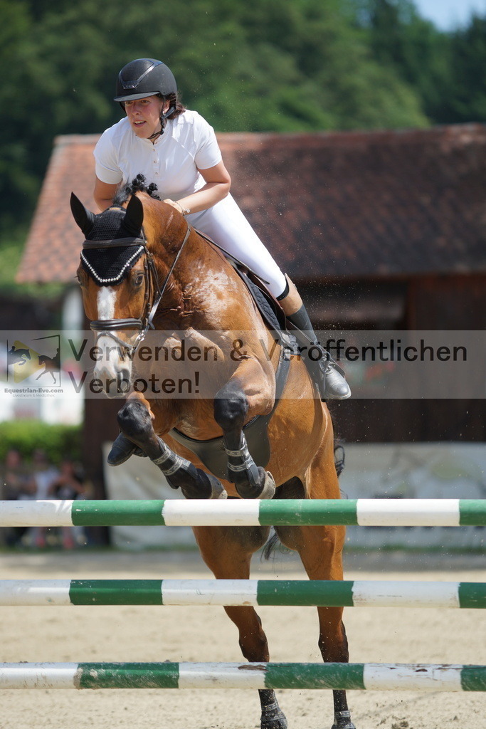 DSC00619 | equestrian-live-com
