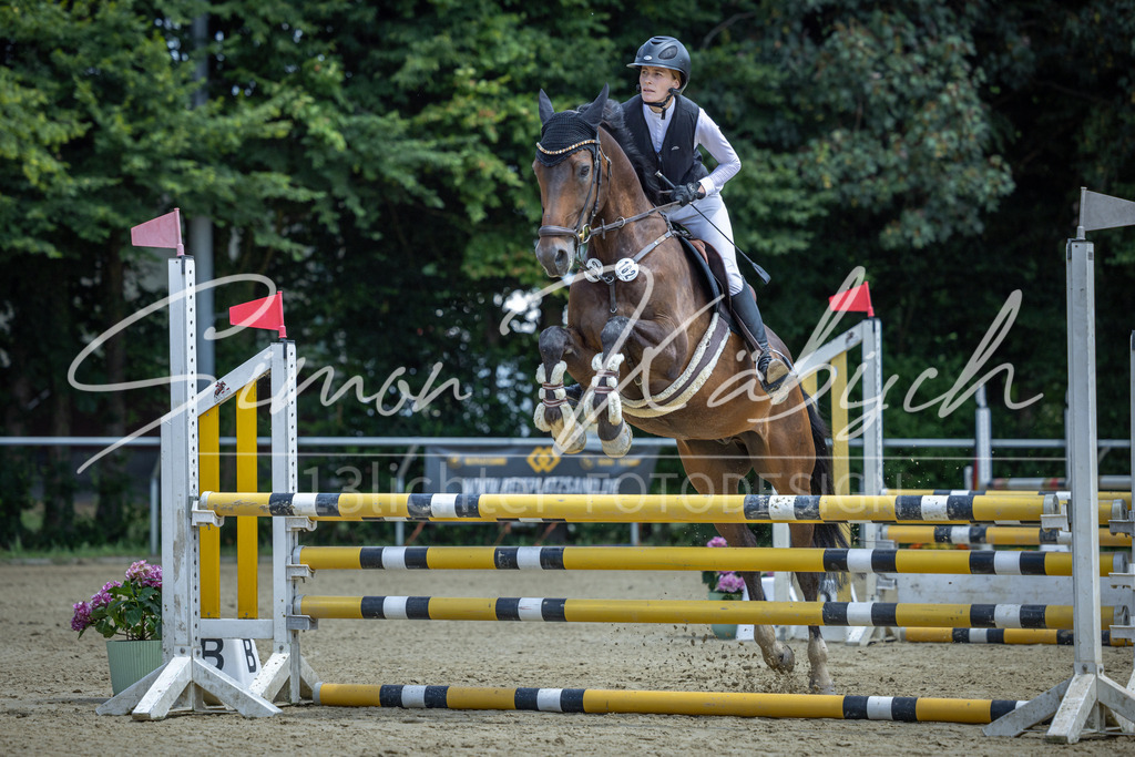 20260704-_3LI9326 | Tierfotografie Pferde, Hunde, Katzen, Haustiere.
Turnierfotografie Reitturniere, Reiten, Springreiten, Dressur in Hanau, dem Main-Kinzig-Kreis und dem Rhein-Main- Gebiet um Frankfurt
