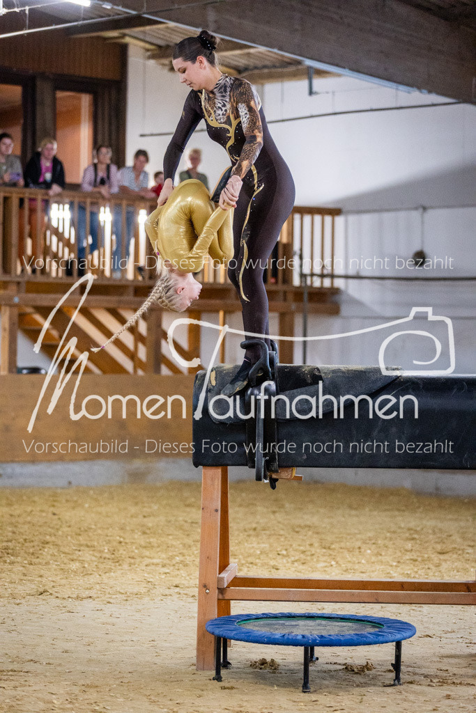 Holzpferd-073 | MomenTaufnahmen Pferdesportfotos
