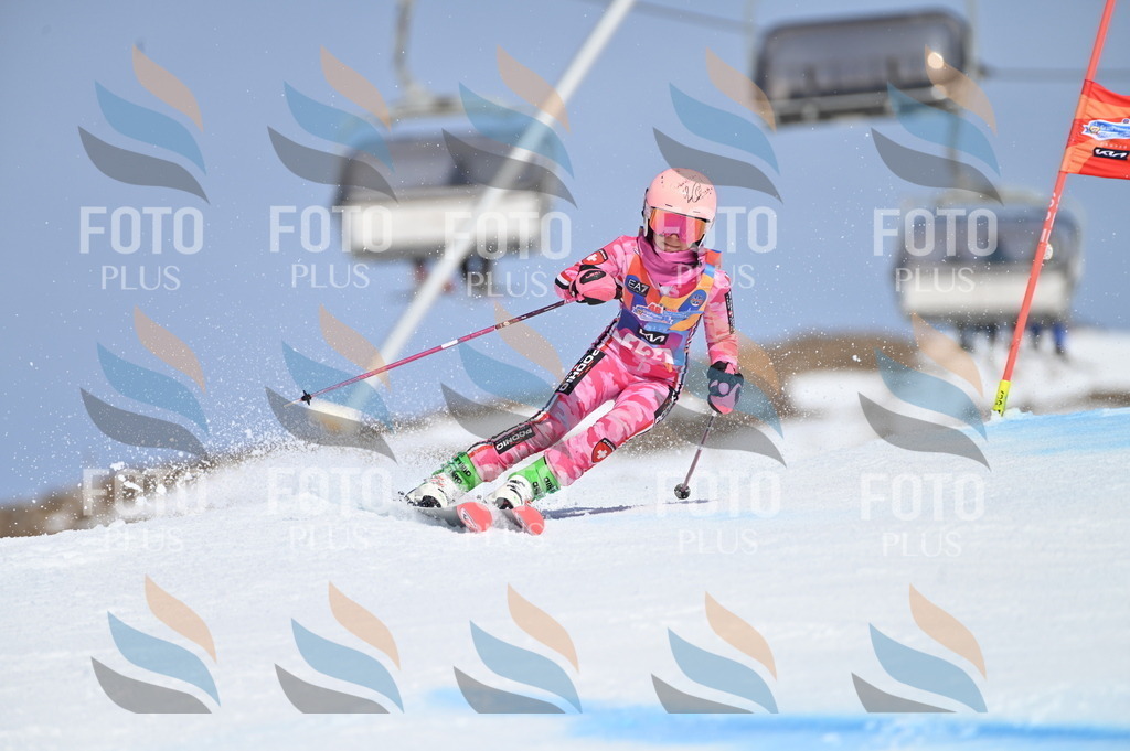 BGV_9996 | holidayphoto