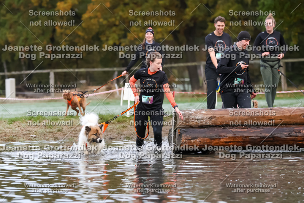 Dog Paparazzi - Strongdog 10-25-6202 | Dog Paparazzi Jeanette Grottendiek Fotografie & Videografie - Realisiert mit Pictrs.com