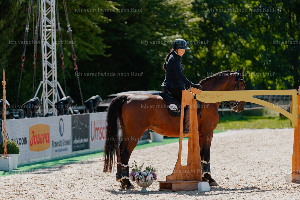 Nadine22_FHC2025-77 | working equitationturnier fotograf videograf stoibphotography marixx film working equitation deutschland reitsport turnierfotografie eventfotografie equestrian events