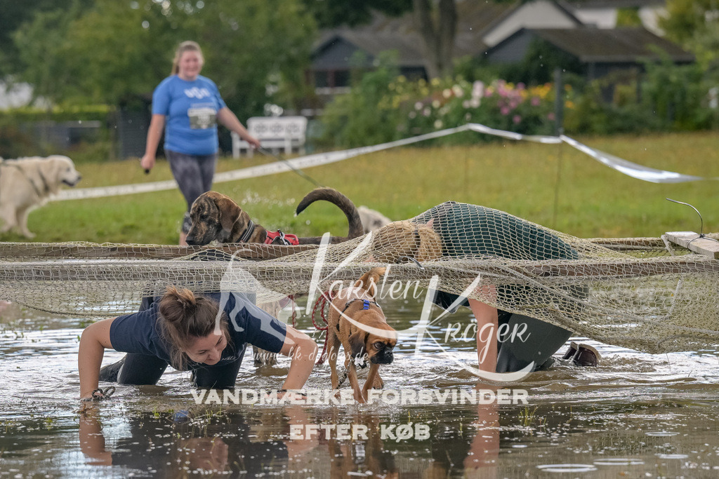 1451_ZZ90212 | kk-dogfotos