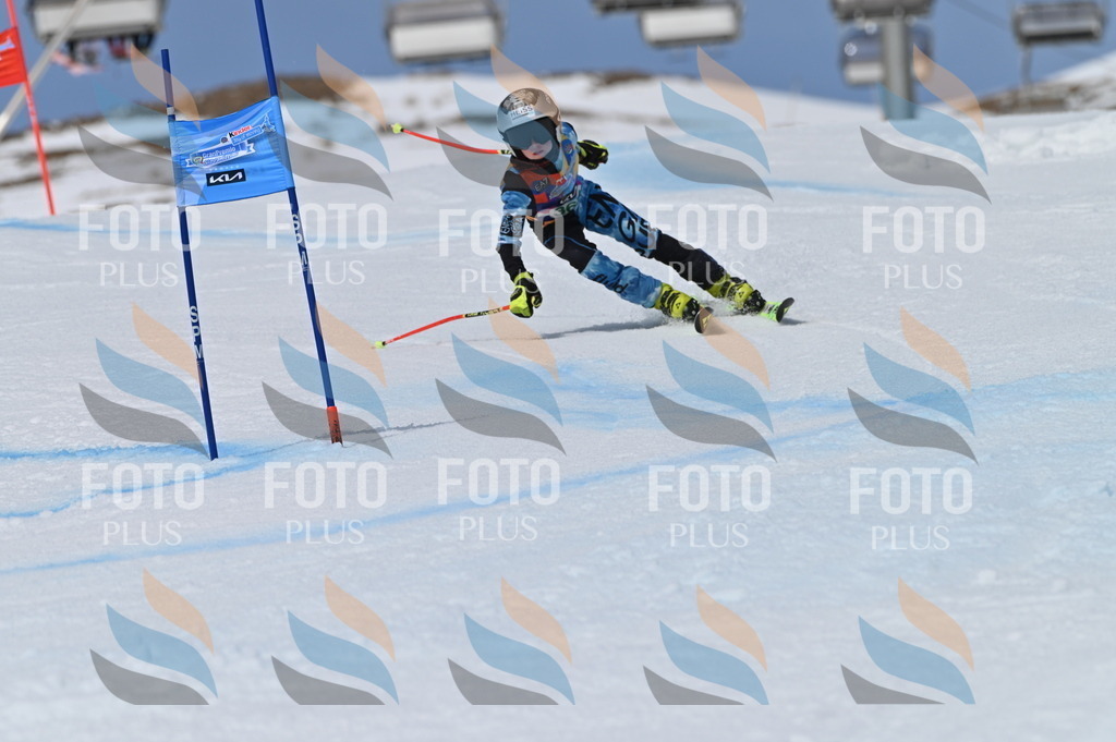 BGV_7256 | holidayphoto