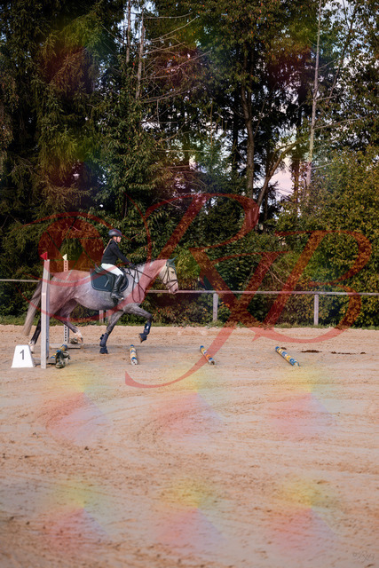 2026_10_03_Siefer-Hof_145033_Z81_28494926 | Professionelle Reitsport-, Turnier- und Eventfotografie von Robert Broda. Galerien mit ausgewählten und bearbeiteten Bildern direkt online ansehen und bestellen.
