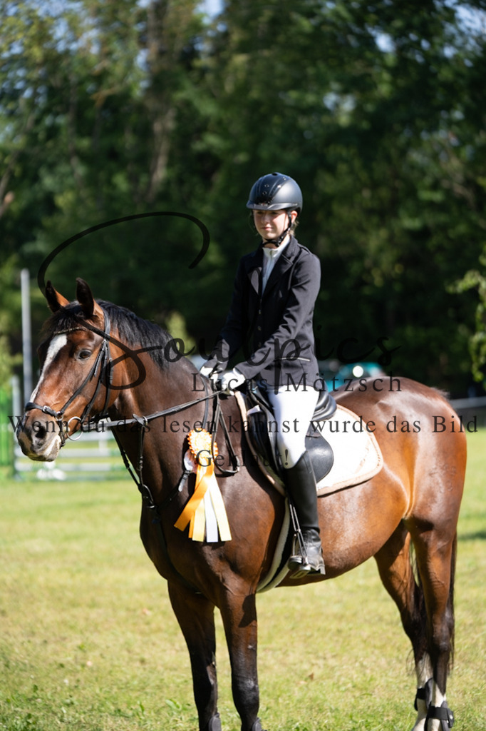 A7V05408 | Pferdefotograf