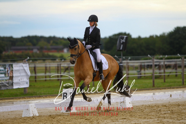 DKP43686 | Turniersportfotografie; Pferdefotografie; Dressurfotografie