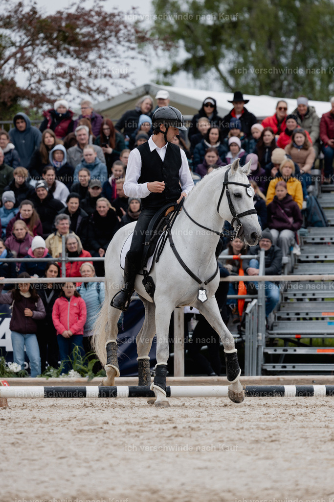 PI26_SP_StoibphotographyC2_C0524.jpg | working equitationturnier fotograf videograf stoibphotography marixx film working equitation deutschland reitsport turnierfotografie eventfotografie equestrian events